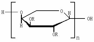 Hydroxypropyl Methyl Cellulose